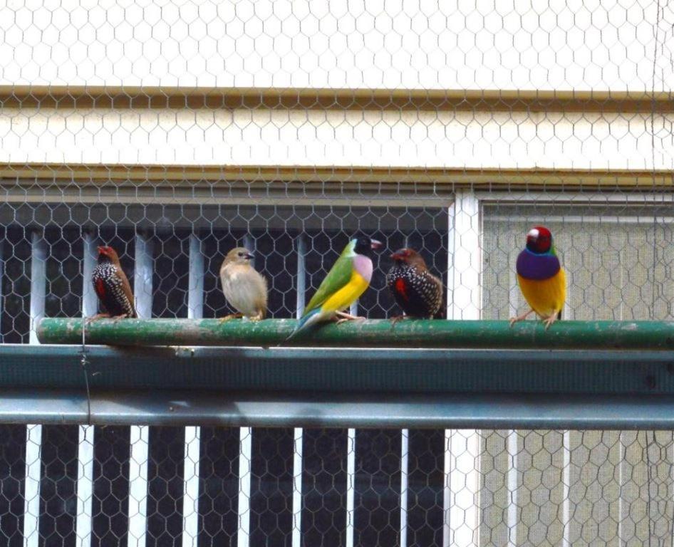 Paringa Caravan Park Renmark Bagian luar foto
